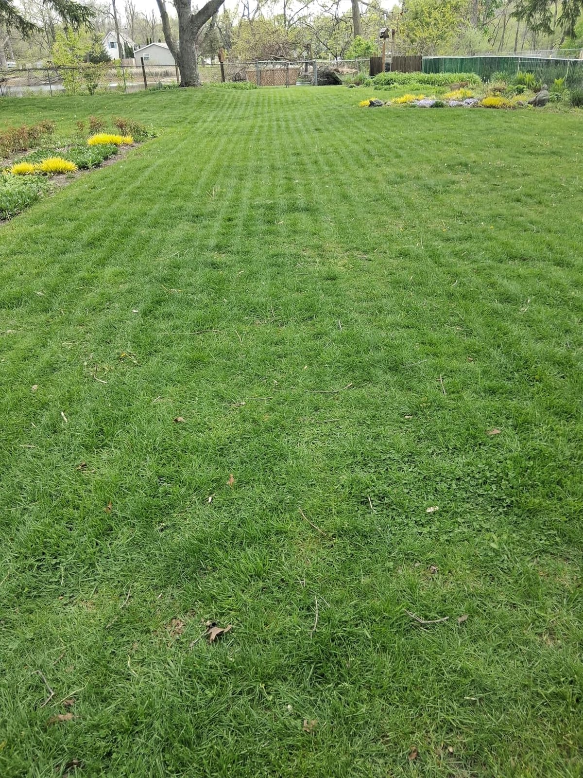 (2026 Upgrade) Mammotion LUBA mini 2 AWD 1500H Robot Lawn Mower, for 0.37 Acres, 360° LiDAR+Dual-Camera AI Vision, 80% Slope, DropMow, 20 Multi-Zone Management customer photo 2