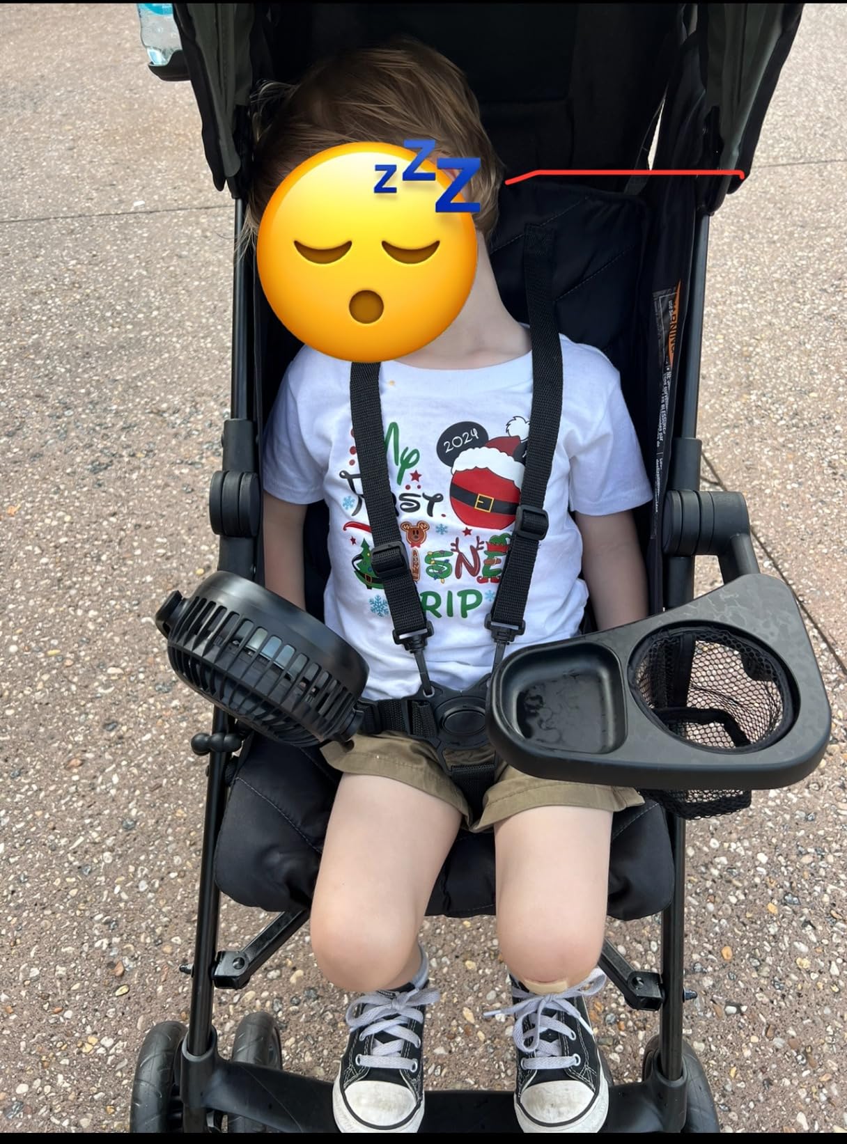 Ingenuity 3Dlite Jewel Convenience Stroller – Lightweight Folding Stroller with Car Seat Compatibility, Extra-Large Canopy & Storage customer photo 1