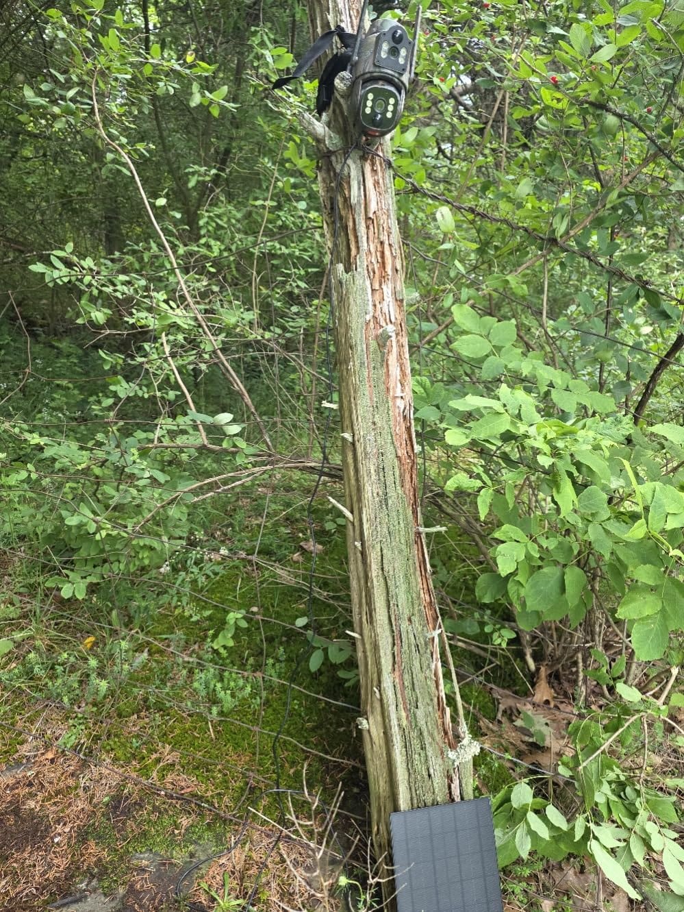 Cellular Trail Camera, 4G LTE Dual Lens Game Camera 360° Live Streaming customer photo 2