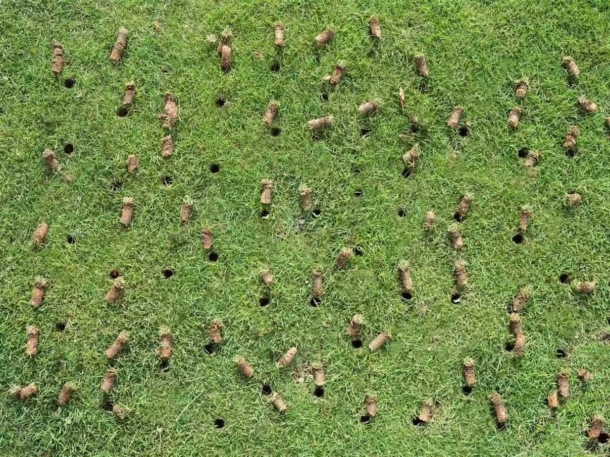 Rolling Lawn Aerator, Non-Clogging Hollow Tine Aerator for Compacted Soil customer photo 1
