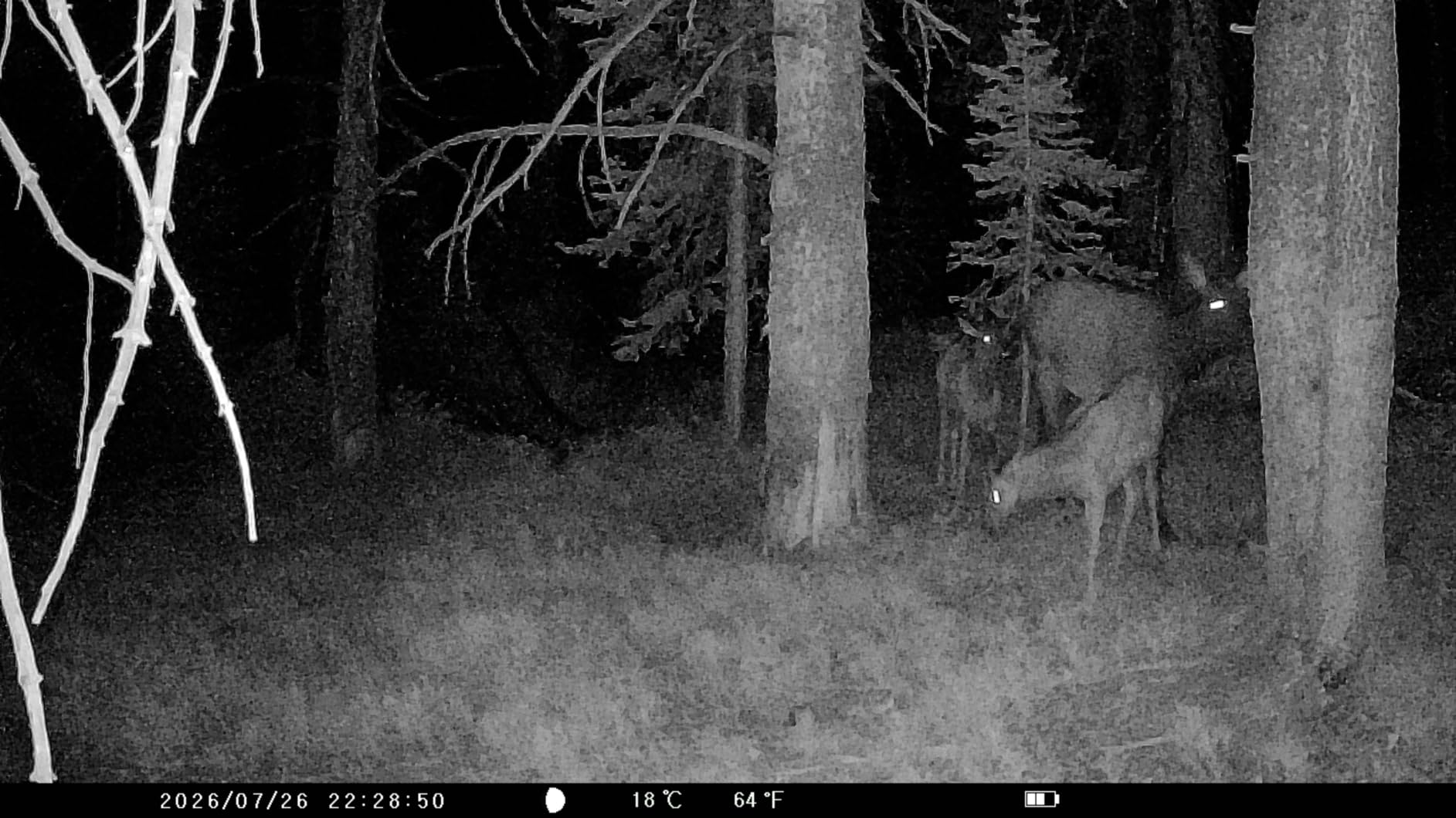 Punvoe Trail Camera 2 Pack 36 MP 2.7K Game Camera 16GB Memory Card 4 Batteries Time 2.0